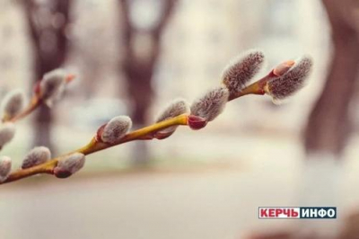 Смысл традиции: почему вещи умершего оставляют в покое на 40 дней