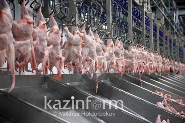 Импорт молока и мяса птицы снизили в Казахстане