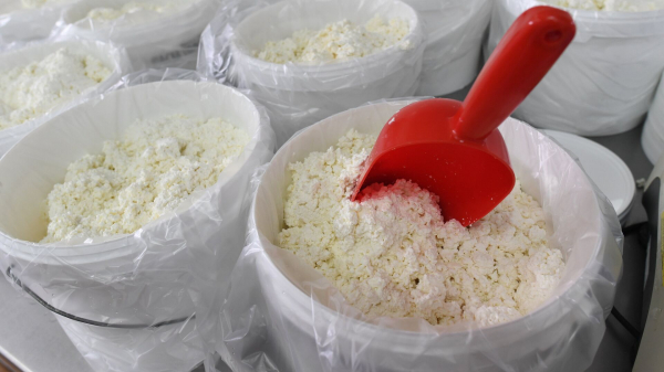 В России обновят ГОСТ на творог