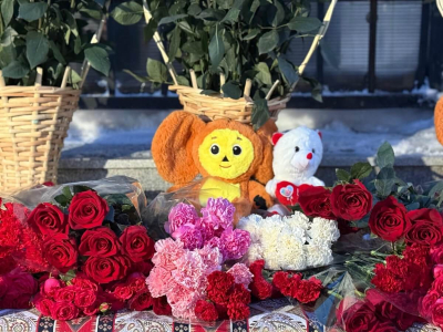 Получены данные с «черного ящика» самолета, разбившегося в Южной Корее