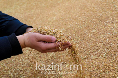 Переработку круп увеличат в СКО