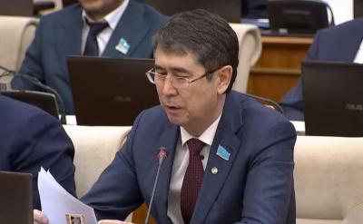 Депутат раскритиковал действия ДЧС и акиматов при землетрясении в Алматы