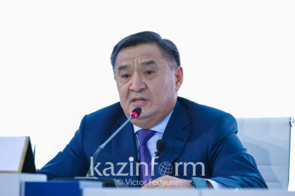Марат Ахметжанов заявил о необходимости увеличения медвытрезвителей в Астане