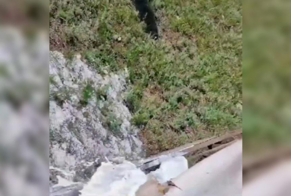 Молоко в землю: видео прокомментировали в акимате СКО
