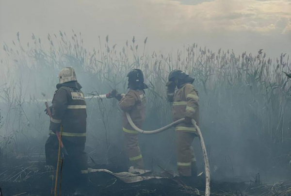Еще пару недель может занять тушение пожара под Астаной – глава МЧС РК