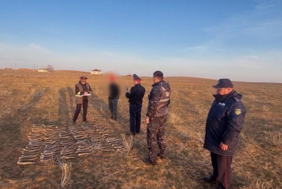 Более сотни рогов сайгака изъяли у браконьера в Атырауской области