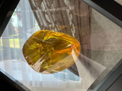 Конкурсный управляющий &laquo;Челпром-даймонд&raquo; подозревается в махинациях с бриллиантами на 87 миллионов рублей