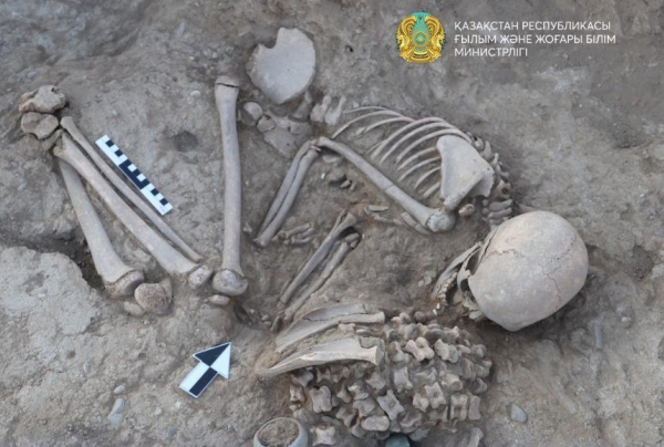 В древнем кургане в Казахстане обнаружили останки женщины, бронзовую лягушку и 180 асыков