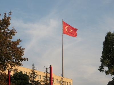 В Турции начался сезон клещей с риском опасных инфекций