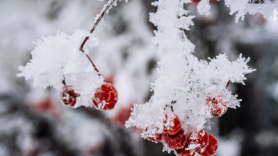 Февраль 2026 года вошёл в пятёрку самых тёплых за всю историю наблюдений 10/03/2026 &ndash; Новости