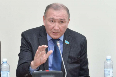 Нам удалось принять сбалансированное налоговое законодательство – Ерлан Кошанов