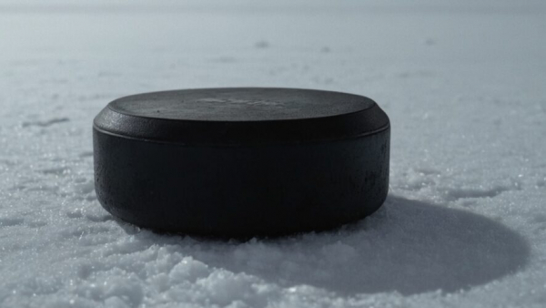 Отец одной из спортсменок устроил стрельбу во время школьного хоккейного матча 17/02/2026 &ndash; Новости