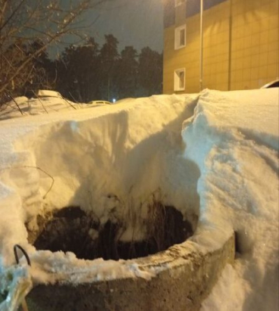 В сети появилось видео нападения собак на ребенка в Алматинской области