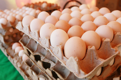Китай снял ограничения на ввоз животноводческой продукции из Казахстана