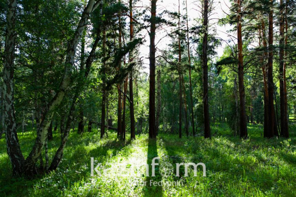 В каких городах Казахстана будут неблагоприятные метеоусловия