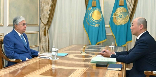 Глава государства принял председателя правления АО «НУХ «Байтерек» Каната Шарлапаева