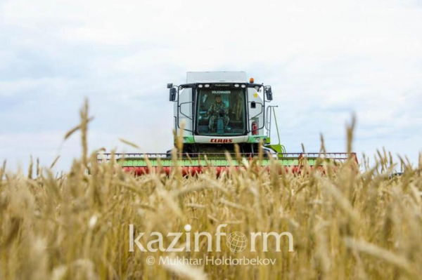 Казахстан расширит экспорт зерновой продукции в Китай