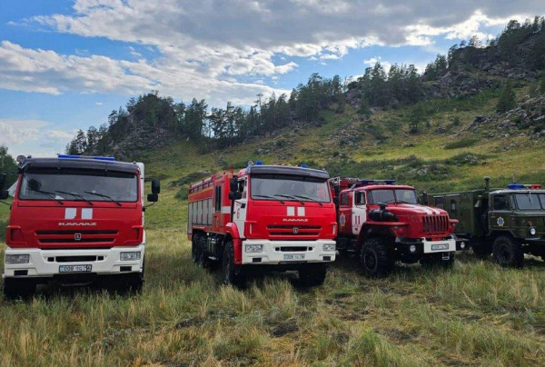 Ликвидирован пожар в горах Жамбылской области