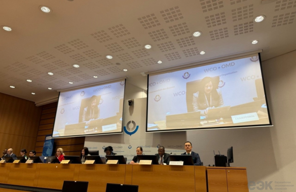 ЕЭК усиливает связи с Постоянным техническим комитетом Всемирной таможенной организации