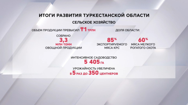 Рекордный урожай: свыше 3 млн овощей собрали в Турскестанской области