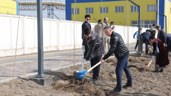 «Аллею Дружбы» торжественно открыли в Конаеве