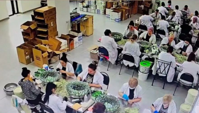 Подпольный цех по изготовлению снюса ликвидировали в Туркестанской области