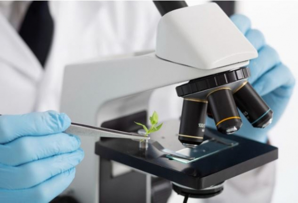 В Кыргызстане развивают молекулярно-генетическую экспертизу