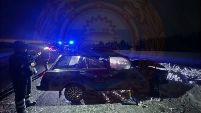 Водитель легковушки погиб, сбив теленка на заснеженной дороге в Татарстане 30/01/2026 &ndash; Новости