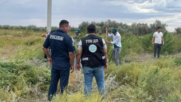 Плантацию конопли сожгли полицейские Атырауской области