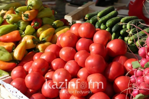 Возможности экспорта казахстанской продукции в Словению обсудили в Актобе