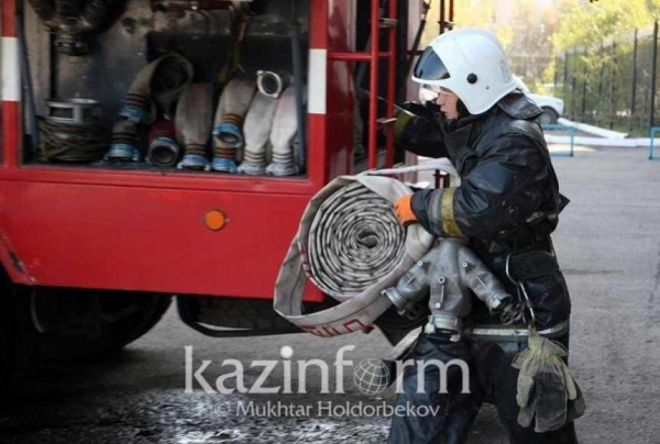 Площадь пожара в Иле-Балхашском резервате удалось снизить до 120 га