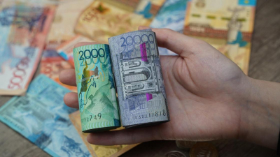 &quot;Такой соцпомощи не существует&quot;: в Минтруда отреагировали на слухи о &quot;выплатах&quot; компенсации казахстанцам