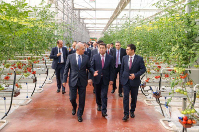 Вечно новый мир классики