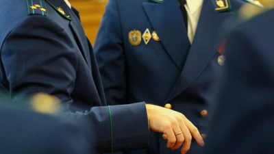 Прокуратура Архангельска взыскала 1 млрд рублей за незаконную вырубку