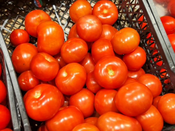 Нижегородская область получила крупную партию импортных томатов