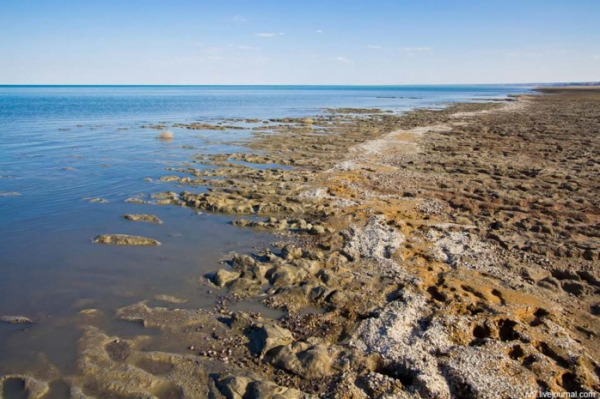 Почвенные исследования проведены на дне Аральского моря
