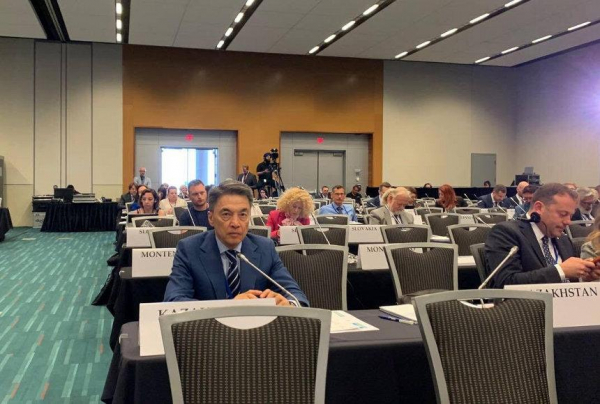 Парламентарии ОБСЕ обсудили актуальные вопросы международной повестки дня