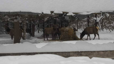 МЧС предупредило жителей Татарстана об ухудшении погоды 16 февраля