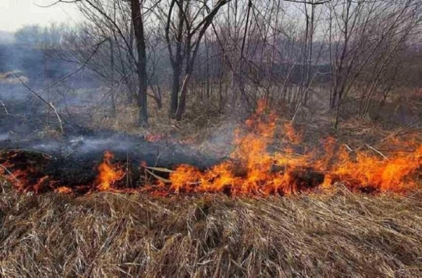 Восемь очагов горения сухой травы ликвидировали за сутки пожарные Алматы