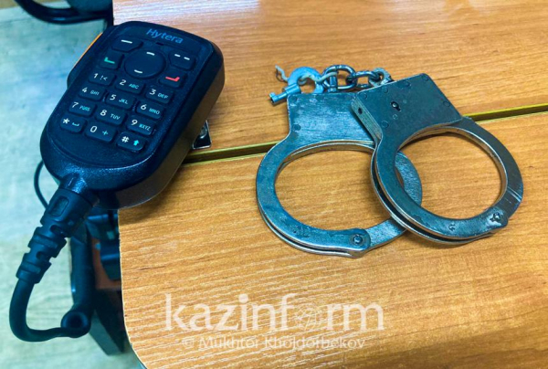 Разыскиваемая по делу оператора РОП задержана в ОАЭ