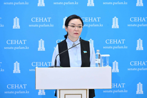 Поручение президента выстроить работу по борьбе с лудоманией ускорило принятие закона - депутат Сената