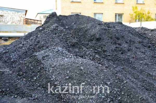 Заготавливать уголь для тепличных хозяйств будут в Казахстане с лета
