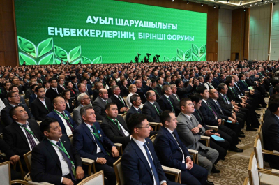 Эксперт о поручениях Президента: Цифровизация - это устранение существующих коррупционных проявлений