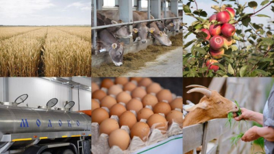 В Татарстане выберут лучшие фермерские хозяйства