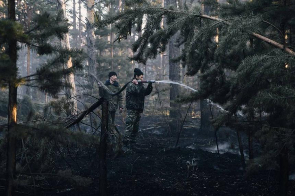 Глава делегации по странам ЦА Европейского парламента выразил соболезнования народу Казахстана