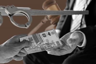 Масштабные хищения зафиксированы в крупнейших лесхозах страны