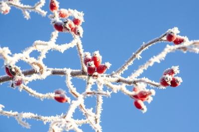 Трассы закрывают в Костанайской области