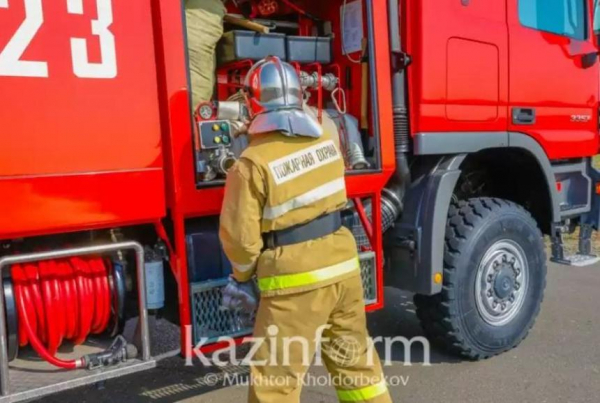 Возгорание камыша тушат в Иле-Балхашском резервате
