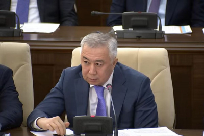 &laquo;Алма піс, аузыма түс&raquo;: в Мажилисе раскритиковали работу социально-предпринимательских корпораций