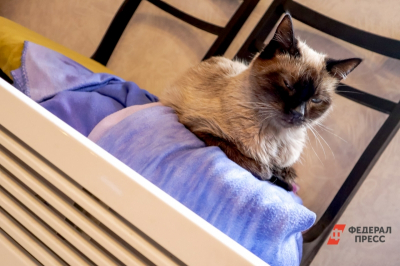 В Хабаровске названа предварительная дата отключения отопления